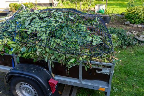 Best Construction Debris Removal  in Livingston, AL